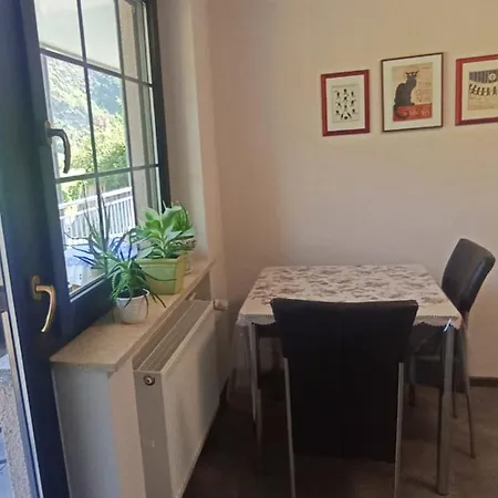 Appartamento Mit Blick Auf Moselloreley *