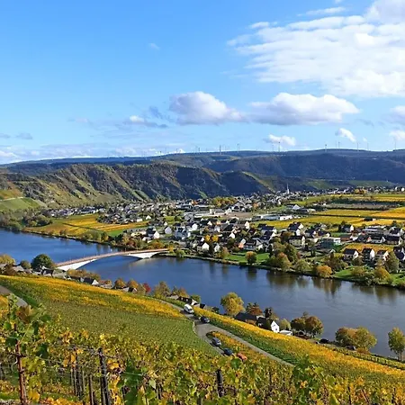 Mit Blick Auf Moselloreley *