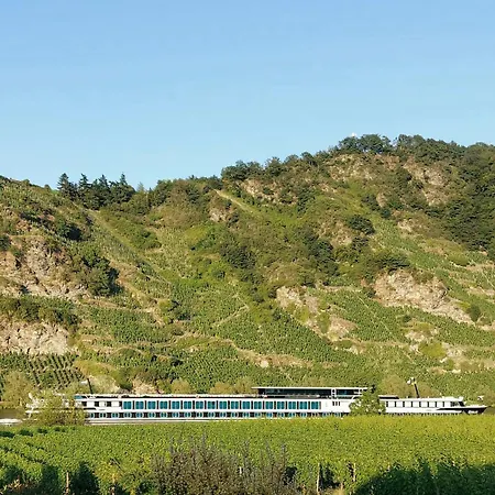 Appartamento Mit Blick Auf Moselloreley Piesport
