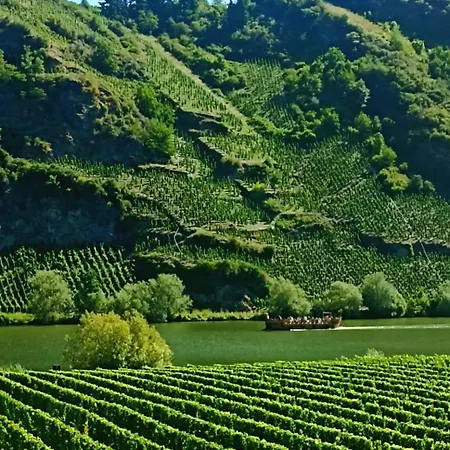 Mit Blick Auf Moselloreley Piesport