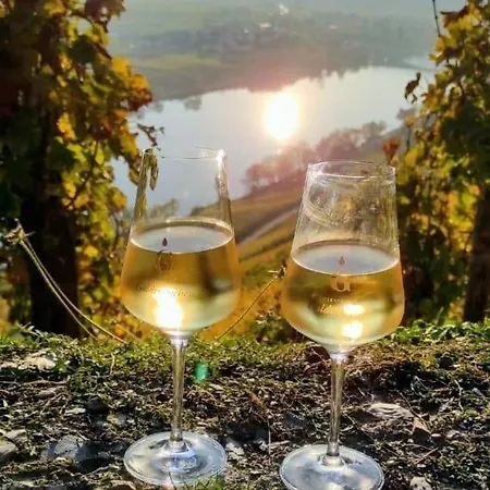 Mit Blick Auf Moselloreley *