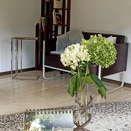 Mit Blick Auf Moselloreley 아파트 피에스포트