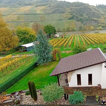 Mit Blick Auf Moselloreley * Piesport