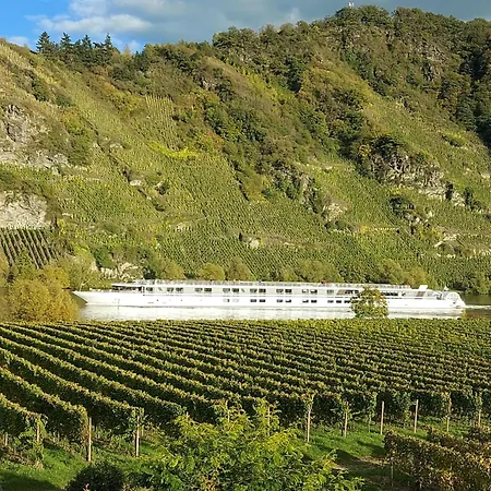 Mit Blick Auf Moselloreley Piesport