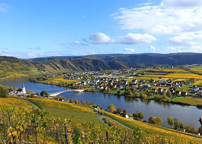 Mit Blick Auf Moselloreley *