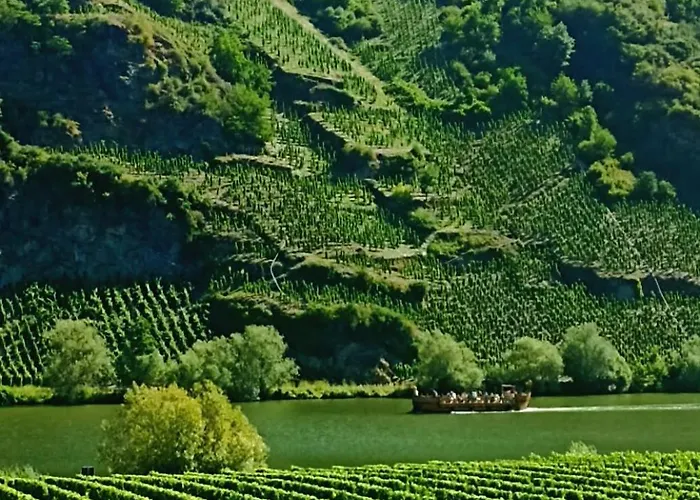 Mit Blick Auf Moselloreley 피에스포트