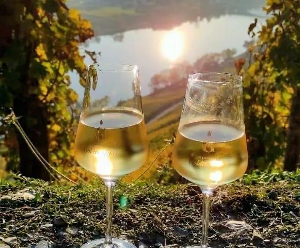 Mit Blick Auf Moselloreley *