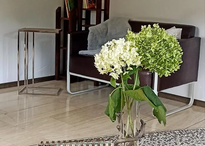 Mit Blick Auf Moselloreley 아파트 피에스포트